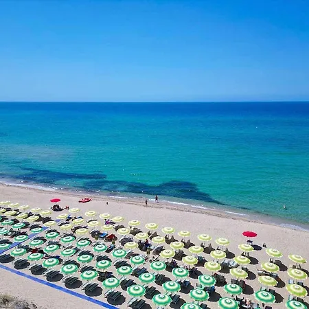 With Swimming Pool Just 300 Mt From The Baia Delle Mimose-beach Hotel